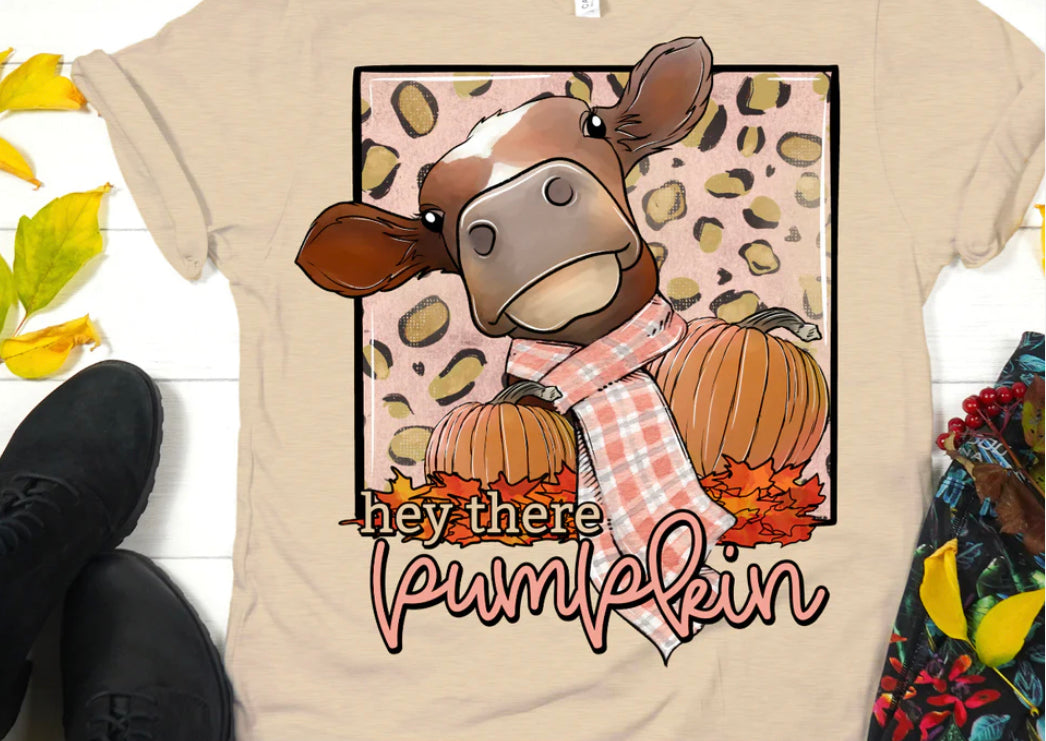 Hey There Pumpkin DTF Shirt